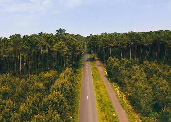 Maison Chaleureuse Avec Terrasse * Capbreton